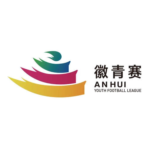 安徽省青少年足球联赛 阜阳VS池州20260913